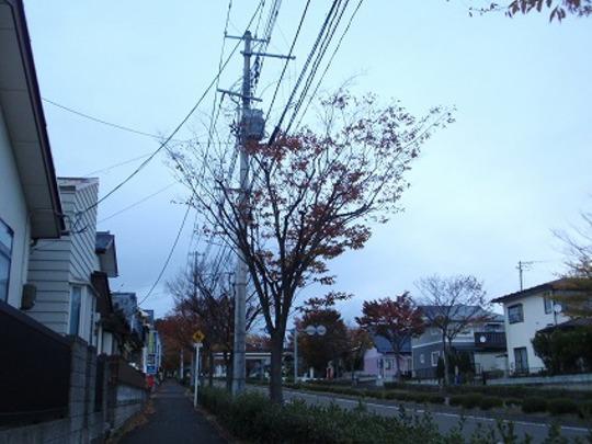 Local photos, including front road. Frontal road