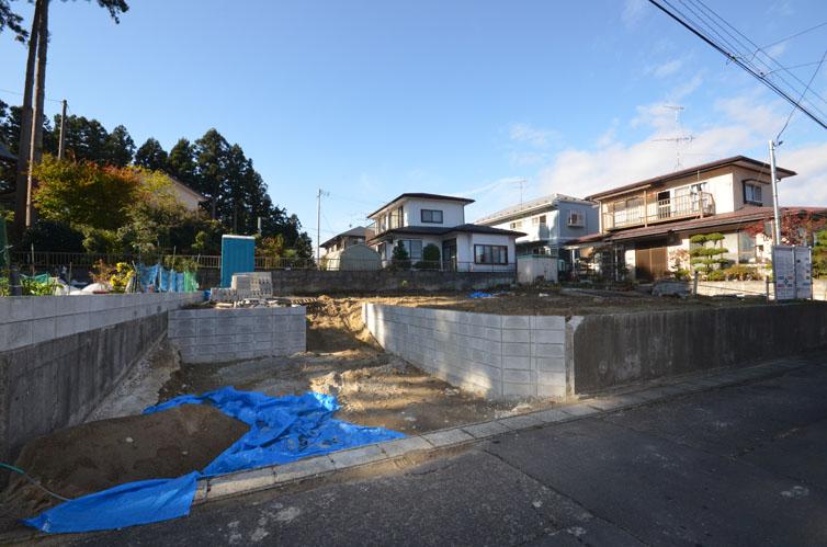 Local photos, including front road. November 14 currently