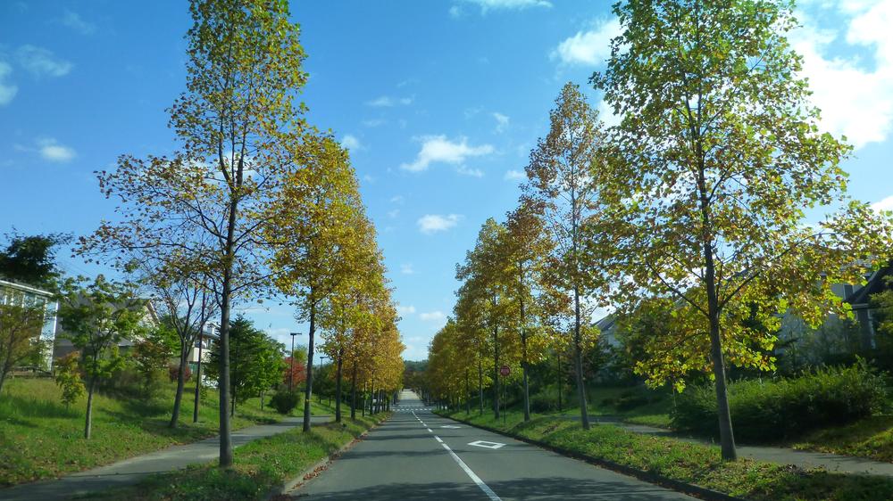 Other.  ☆ Neighborhood road ☆