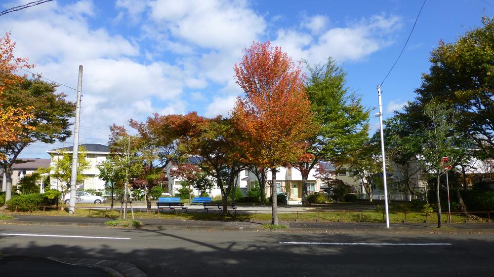 park. 1000m to the neighborhood park