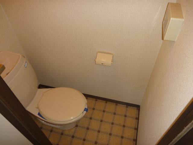 Toilet. Western-style toilet. With automatic drainage device help in winter.