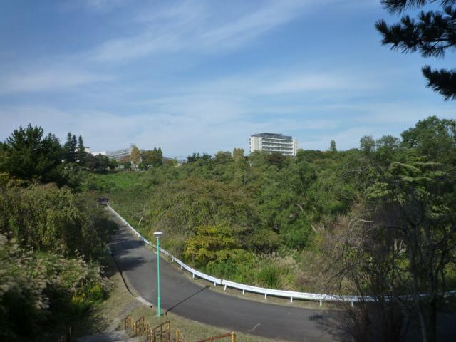 Streets around. Tsuruketani 1000m up to 5-chome intersection