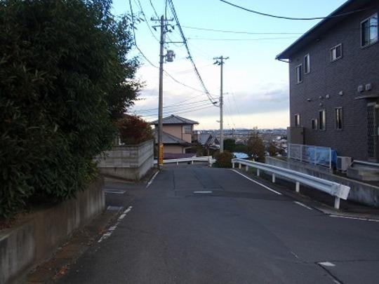 Local appearance photo. Front road 2