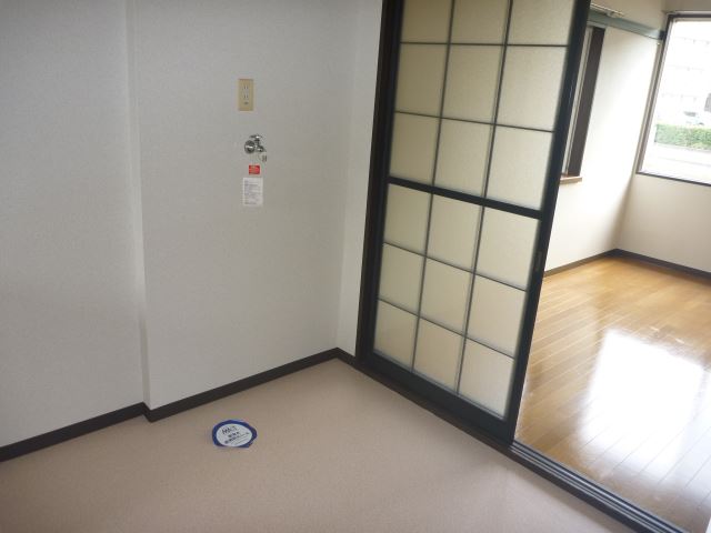 Other room space. There is storage room washing machine.