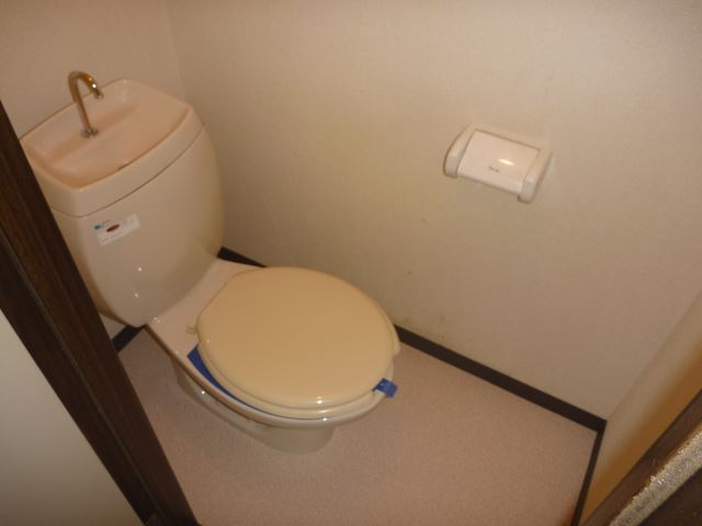 Toilet. Western-style toilet