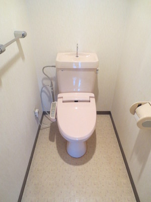 Toilet. Toilet