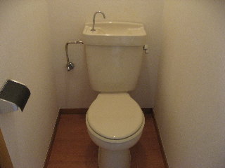 Toilet. Western use