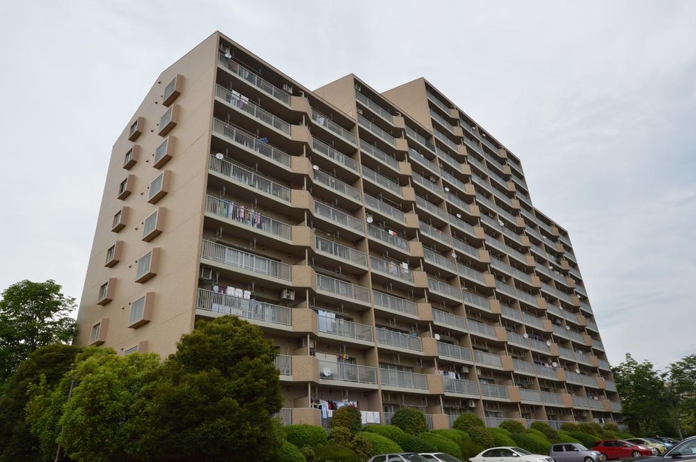 Local appearance photo. Local (July 2013) Shooting