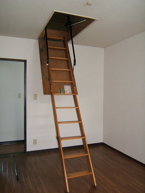 Living and room. Attic with storage