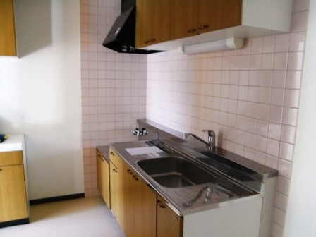 Kitchen. The same type by the room