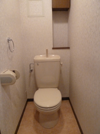 Toilet. The same type by the room