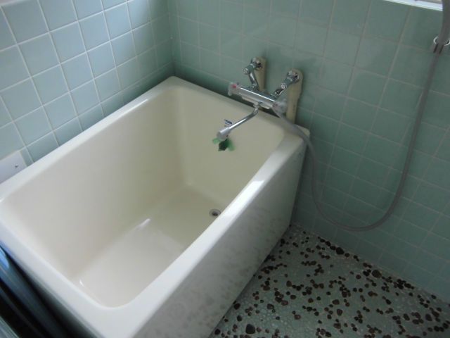 Bath. Tub is also a new.