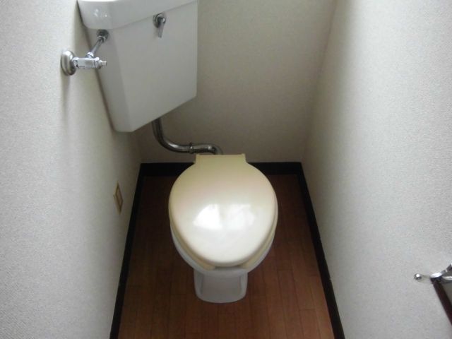 Toilet. The form of toilet.