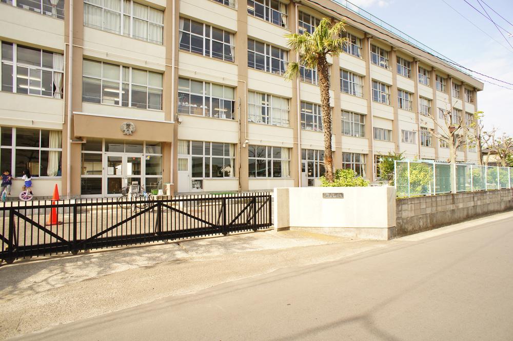 Primary school. Okino to elementary school 805m