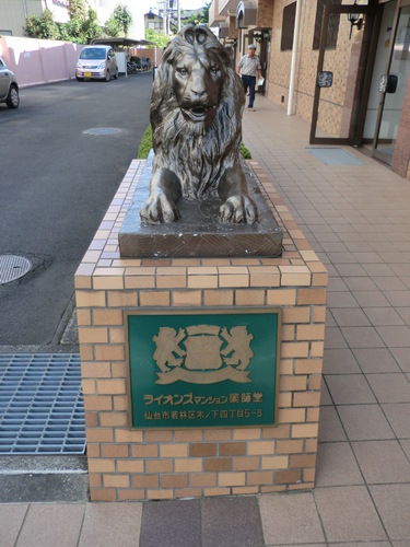 Other. Lion
