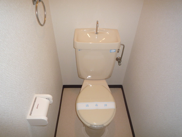 Toilet. The photograph is an image