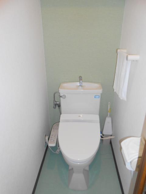 Toilet. Indoor (December 1, 2013) Shooting