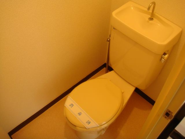 Toilet. It is a toilet with a clean.