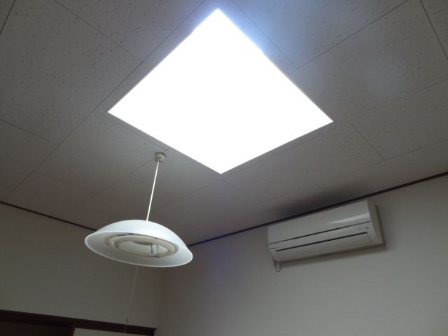 Other. Because with a skylight in the Western-style, It is bright even if there is no window.