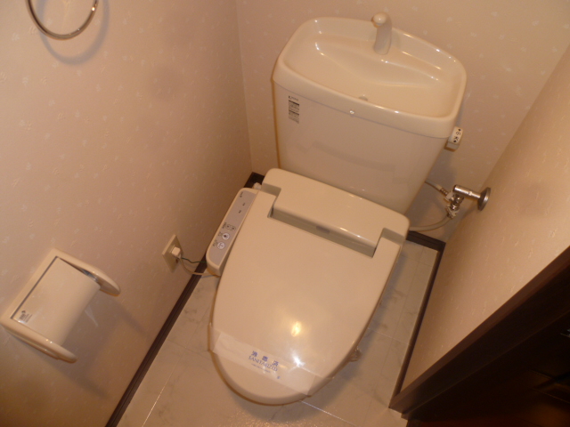 Toilet. model