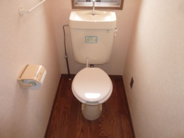 Toilet. Western-style toilet