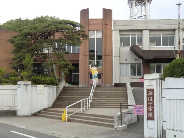 Primary school. Shibata Municipal Nishiju to elementary school 252m