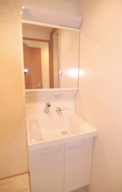 Washroom. Vanity with shower