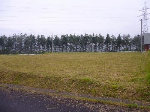 Local land photo