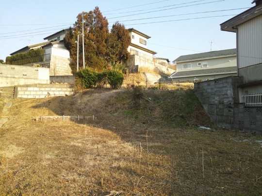 Local land photo. Appearance (1)
