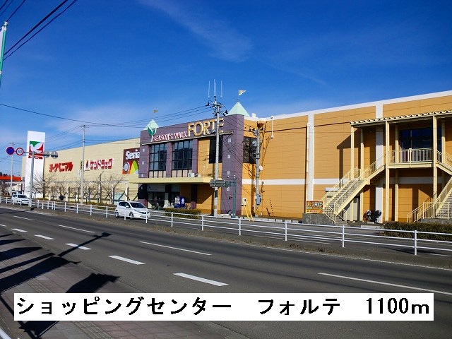 Shopping centre. Shopping Centre 1100m to Forte (shopping center)