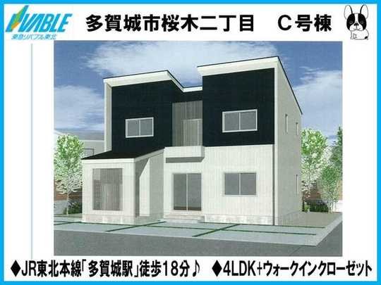 Local appearance photo. Appearance scheduled for completion view