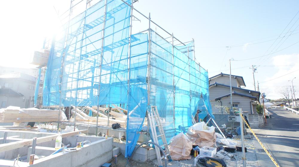 Local photos, including front road