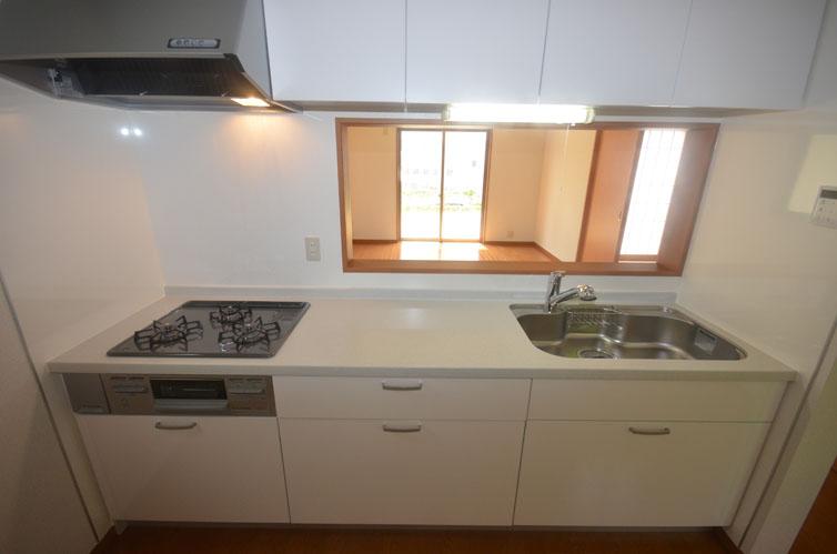 Same specifications photo (kitchen). Example of construction With water purifier