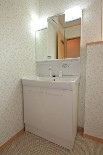 Wash basin, toilet. Vanity (A Building)