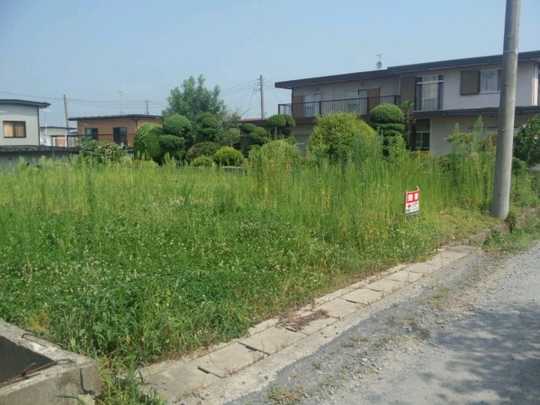 Local land photo. The Property