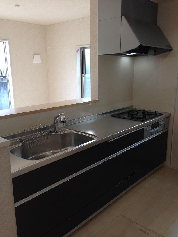 Kitchen. Face-to-face kitchen