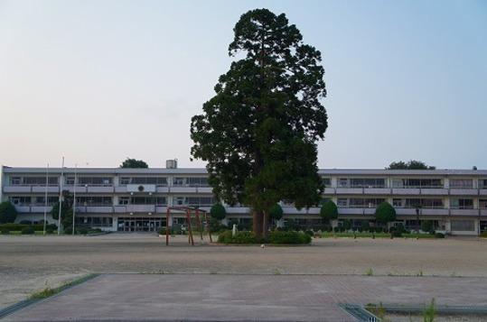 Other. Watari Elementary School 18 mins (about 1400m)