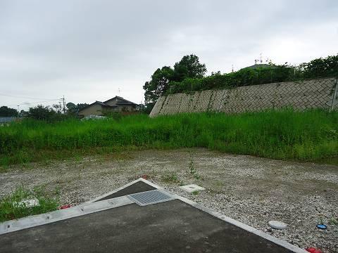 Local land photo. Section (2)