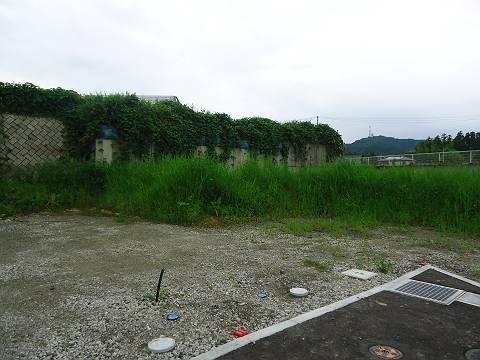 Local land photo. Section (3)