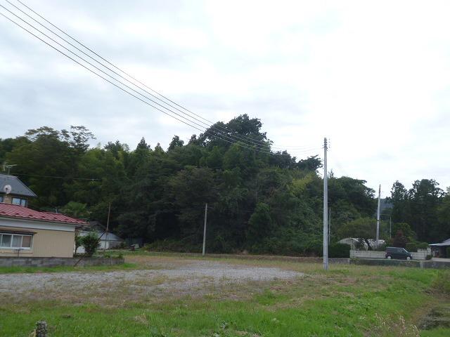 Local land photo