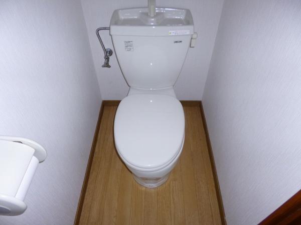 Toilet. Toilet of the toilet is already exchange.