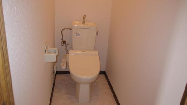 Toilet. New toilet (with washlet