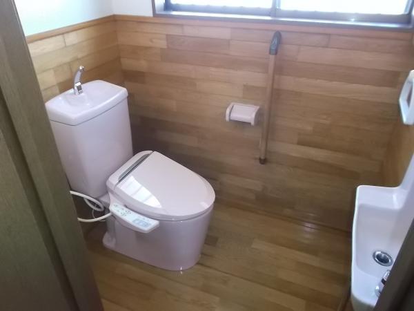 Toilet. Hot water wash with toilet new