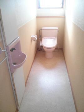 Toilet. Lighting of balanced bright toilet