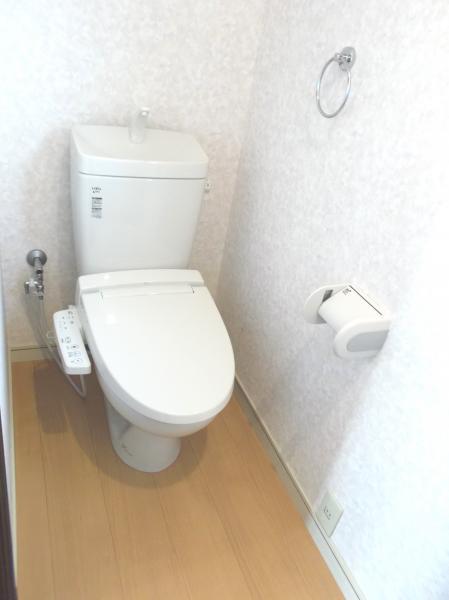 Toilet. Heated toilet seat with toilet new installation