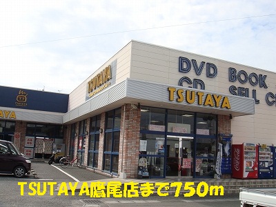 Rental video. TSUTAYA Takao shop 750m up (video rental)