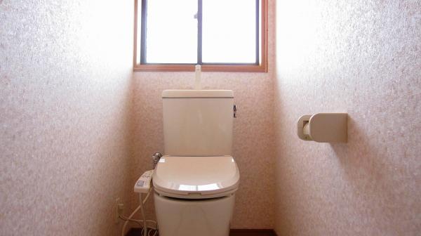 Toilet. New exchange to Washlet with the toilet