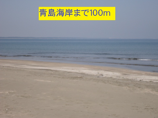 Other. 100m to Qingdao coast (Other)
