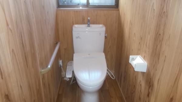 Toilet. Washlet toilet.