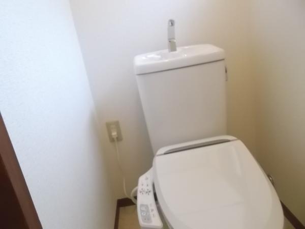 Non-living room. Toilet newly established with a comfortable shower